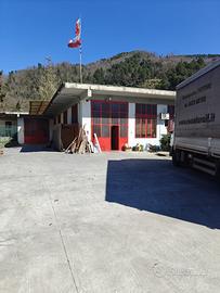 Immobile Commerciale - Montagnana (PT)