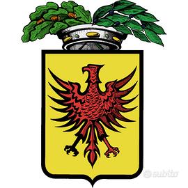 Autista NCC cap KB ed iscrizione a ruolo CCIAA RA