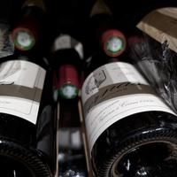 Domaine Thierry Allemand Cornas Reynard Verticale
