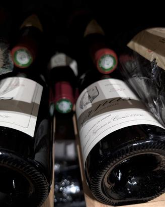 Domaine Thierry Allemand Cornas Reynard Verticale