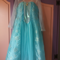 Costume Elsa Frozen