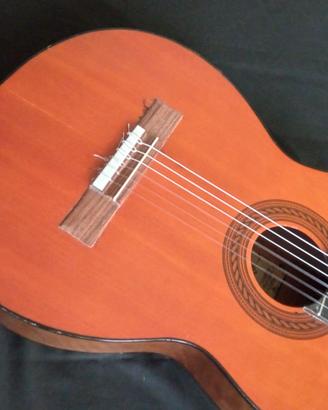 Chitarra classica vintage Eko Spanish 551