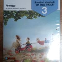 Gli anni in tasca 3 (prove invalsi)