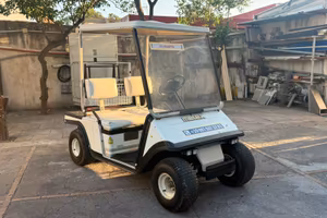 Golf car (Caddy)