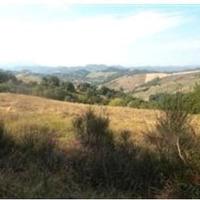 RGE 79/2015 - Tribunale di Urbino - Lotto 2