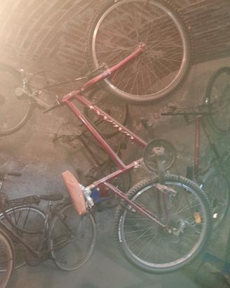 bicicletta 