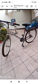 Bici frejus