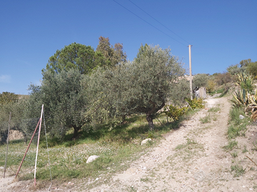 Terreno con piccola casa