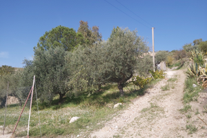 Terreno con piccola casa