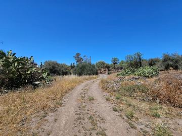 Terreno agricolo recintato con uliveto e frutteto