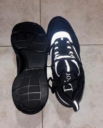 Dior b22