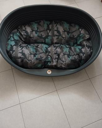 box per cani