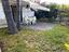 Immagine 11