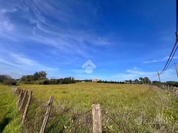 TER. RESIDENZIALE A ANGUILLARA SABAZIA