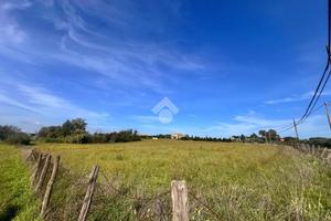 TER. RESIDENZIALE A ANGUILLARA SABAZIA