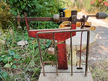 Bilancia bascula sarzani