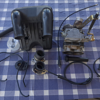 Corpo farfallato Weber