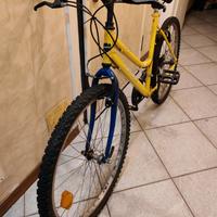 MTB donna 