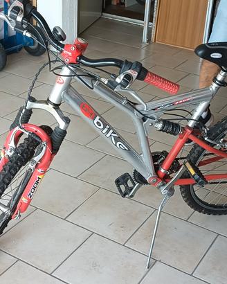 bicicletta 