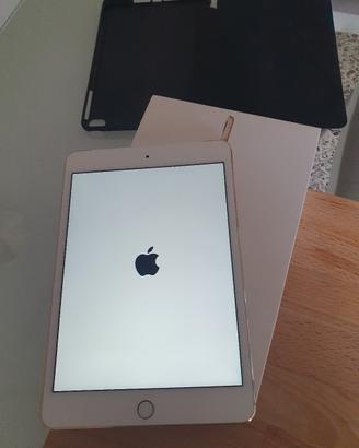 IPad 4 Mini 