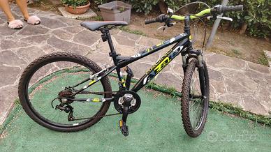 Atala 24"