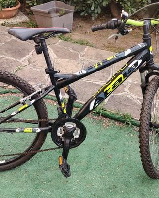 Atala 24"