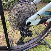 Mtb focus