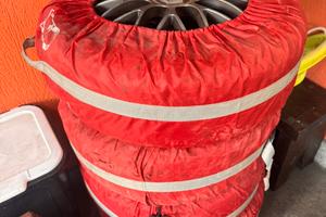 Gomme invernali nokian 202/55/r16