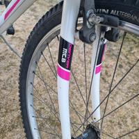 bicicletta donna con cestino e seggiolino bambino