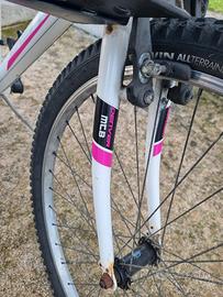 bicicletta donna con cestino e seggiolino bambino