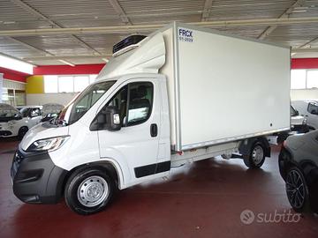 OPEL Movano 35q.li Maxi 140hp PL Cella 3.70 -20°