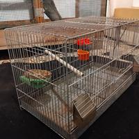 gabbia per volatili -canarini -coccorite 