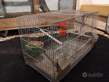 gabbia per volatili -canarini -coccorite 