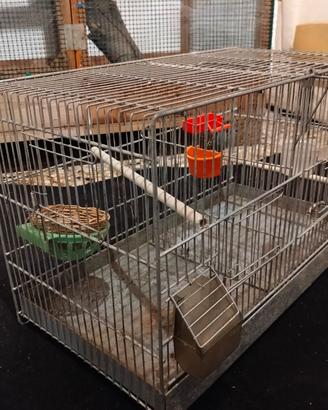 gabbia per volatili -canarini -coccorite 