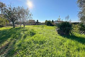 Sammardenchia, deposito con terreno edificabile