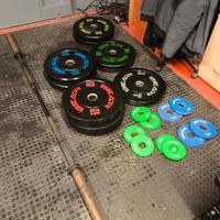 palestra bear fitness 