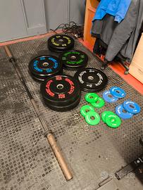 palestra bear fitness 