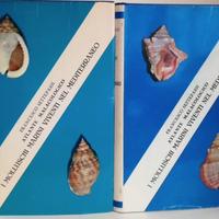 Atlante malacologico - I molluchi marini viventi n