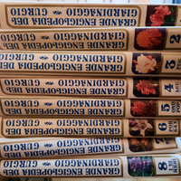 Grande enciclopedia del giardinaggio curcio