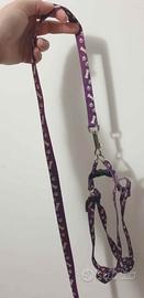 Guinzaglio e collare per cane taglia medio piccola