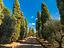 Immagine 21