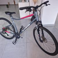 bitwin riverside 500