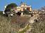 Immagine 11