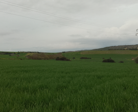 Terreno agricolo