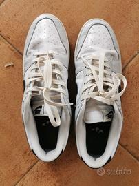 Nike air dunk low 46