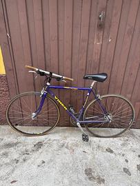Bicicletta Viner