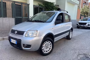 Fiat Panda 1.2 4x4 GPL