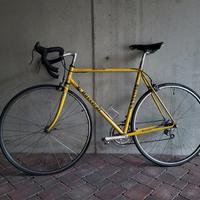 Daccordi Freccia 1986