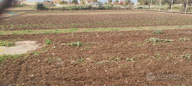 Terreno con pozzo acqua sorgiva