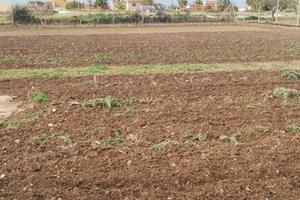 Terreno con pozzo acqua sorgiva